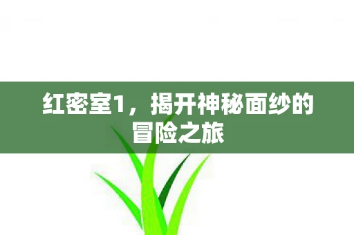 红密室1，揭开神秘面纱的冒险之旅