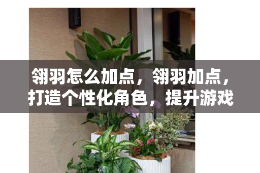 翎羽怎么加点，翎羽加点，打造个性化角色，提升游戏战斗力的独特技巧