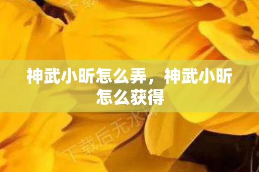 神武小昕怎么弄，神武小昕怎么获得