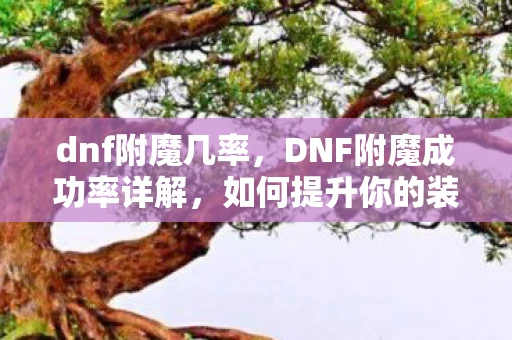 dnf附魔几率，DNF附魔成功率详解，如何提升你的装备属性？