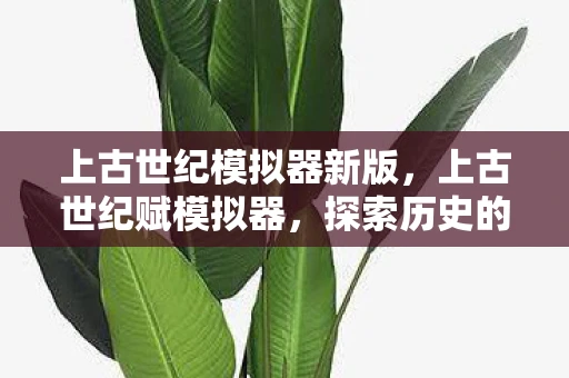 上古世纪模拟器新版，上古世纪赋模拟器，探索历史的奥秘