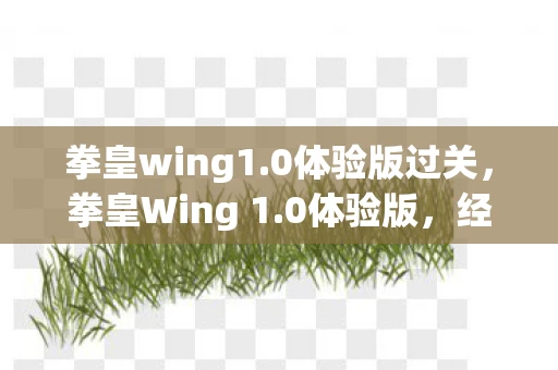 拳皇wing1.0体验版过关，拳皇Wing 1.0体验版，经典与创新的碰撞