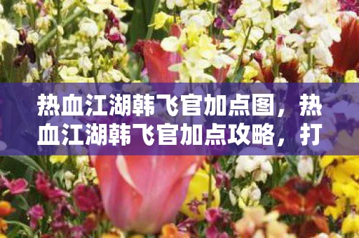 热血江湖韩飞官加点图，热血江湖韩飞官加点攻略，打造最强角色