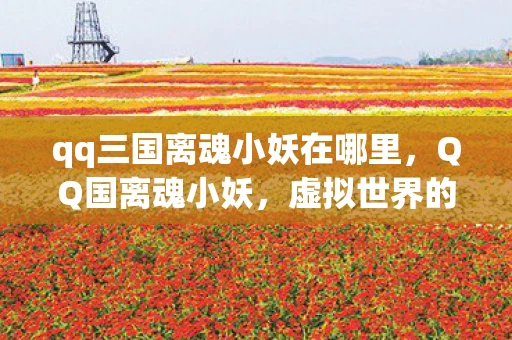 qq三国离魂小妖在哪里，QQ国离魂小妖，虚拟世界的灵魂探索