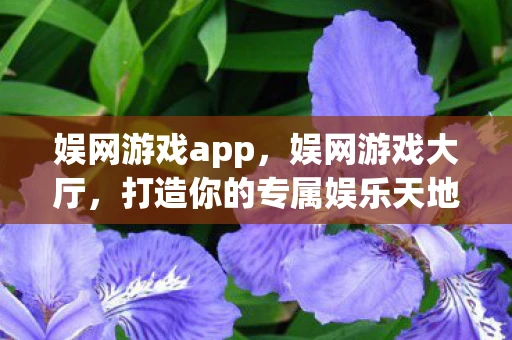 娱网游戏app，娱网游戏大厅，打造你的专属娱乐天地