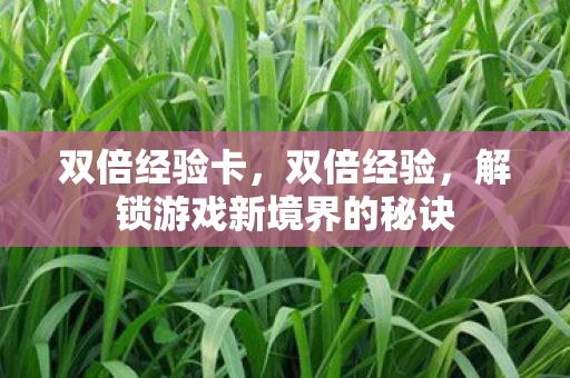 双倍经验卡，双倍经验，解锁游戏新境界的秘诀