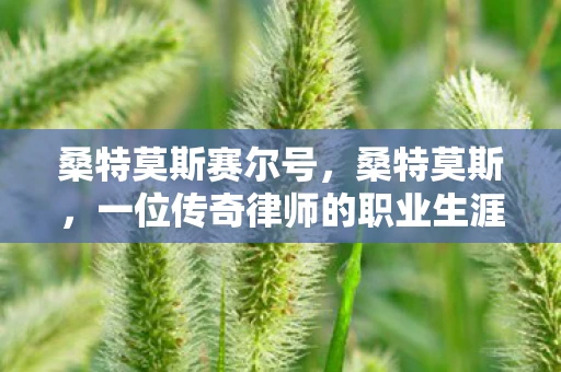 桑特莫斯赛尔号，桑特莫斯，一位传奇律师的职业生涯与影响
