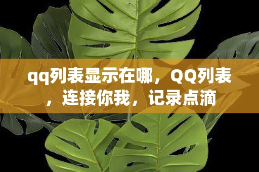 qq列表显示在哪，QQ列表，连接你我，记录点滴