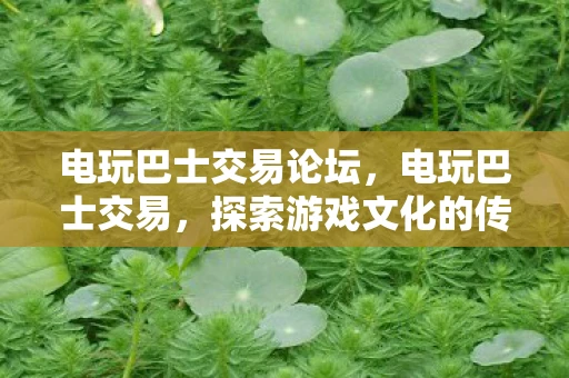 电玩巴士交易论坛,电玩巴士交易,探索游戏文化的传承与变迁 电玩巴士交易论坛,电玩巴士交易,探索游戏文化的传承与变迁
