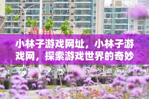 小林子游戏网址,小林子游戏网,探索游戏世界的奇妙之旅 小林子游戏网址,小林子游戏网,探索游戏世界的奇妙之旅