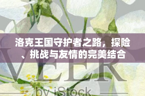 挑战与友情的完美结合图片