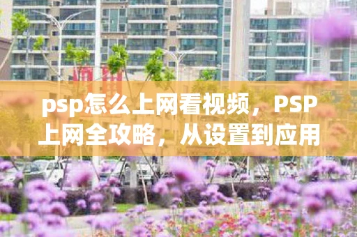 psp怎么上网看视频，PSP上网全攻略，从设置到应用，一网打尽！