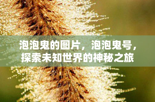 泡泡鬼的图片,泡泡鬼号,探索未知世界的神秘之旅 泡泡鬼的图片,泡泡鬼号,探索未知世界的神秘之旅