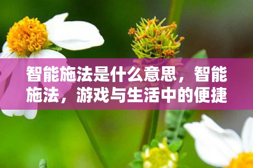 智能施法是什么意思，智能施法，游戏与生活中的便捷创新
