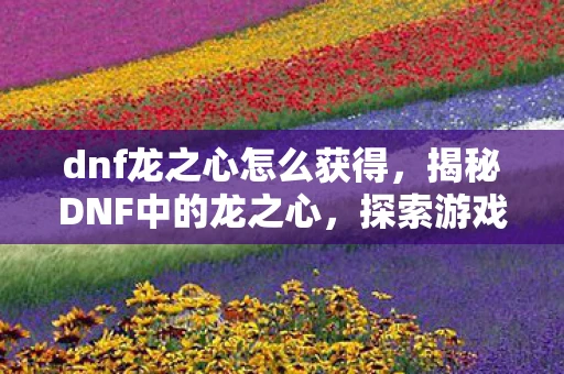 dnf龙之心怎么获得，揭秘DNF中的龙之心，探索游戏背后的神秘力量