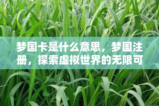 梦国卡是什么意思，梦国注册，探索虚拟世界的无限可能