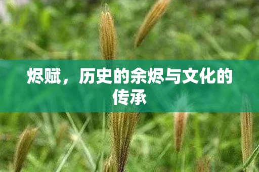 烬赋，历史的余烬与文化的传承