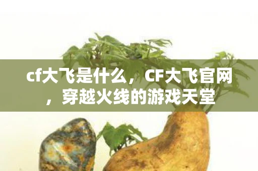 cf大飞是什么，CF大飞官网，穿越火线的游戏天堂