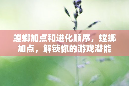螳螂加点和进化顺序，螳螂加点，解锁你的游戏潜能