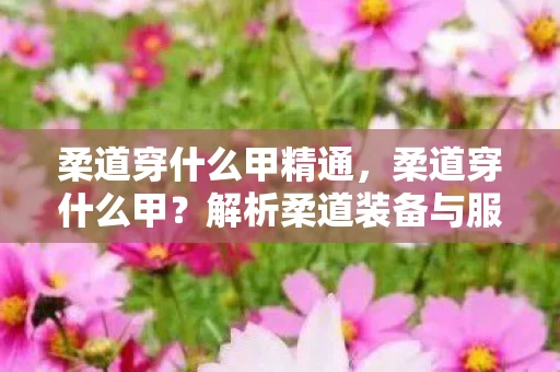 柔道穿什么甲精通,柔道穿什么甲?解析柔道装备与服饰 柔道穿什么甲精通,柔道穿什么甲?解析柔道装备与服饰