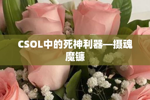 CSOL中的死神利器图片