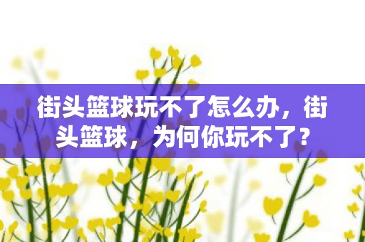 街头篮球玩不了怎么办,街头篮球,为何你玩不了? 街头篮球玩不了怎么办,街头篮球,为何你玩不了?