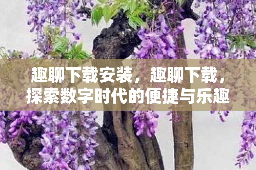 趣聊下载安装，趣聊下载，探索数字时代的便捷与乐趣