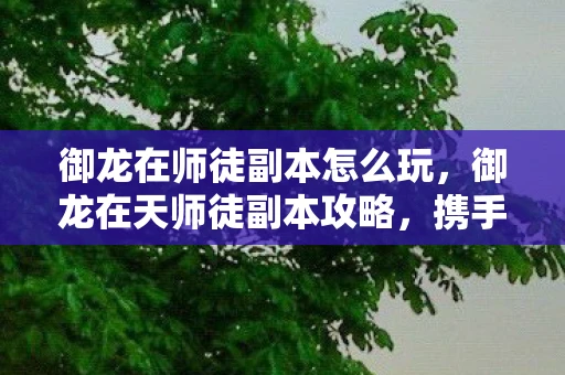 御龙在师徒副本怎么玩,御龙在天师徒副本攻略,携手共闯江湖,师徒情深 御龙在师徒副本怎么玩,御龙在天师徒副本攻略,携手共闯江湖,师徒情深