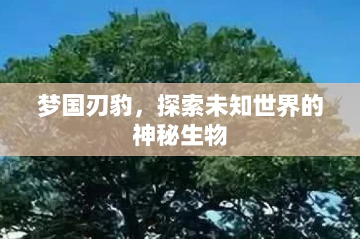 梦国刃豹,探索未知世界的神秘生物 梦国刃豹,探索未知世界的神秘生物
