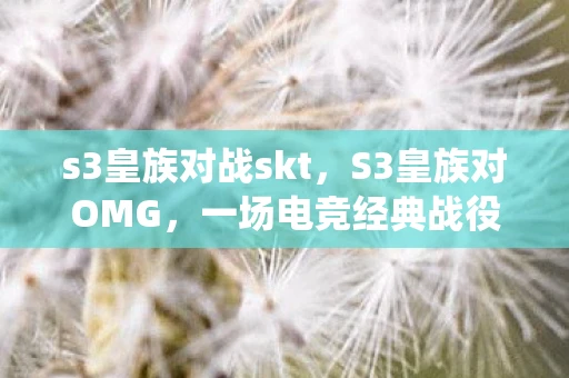 s3皇族对战skt，S3皇族对OMG，一场电竞经典战役的回顾