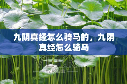 九阴真经怎么骑马的，九阴真经怎么骑马