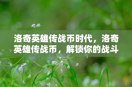 洛奇英雄传战币时代，洛奇英雄传战币，解锁你的战斗荣耀