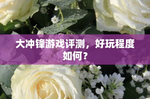 大冲锋游戏评测图片