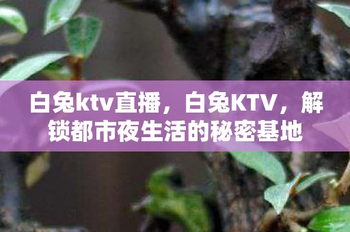 白兔ktv直播,白兔KTV,解锁都市夜生活的秘密基地 白兔ktv直播,白兔KTV,解锁都市夜生活的秘密基地