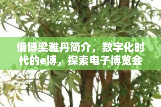 俄博梁雅丹简介,数字化时代的e博,探索电子博览会的无限可能 俄博梁雅丹简介,数字化时代的e博,探索电子博览会的无限可能