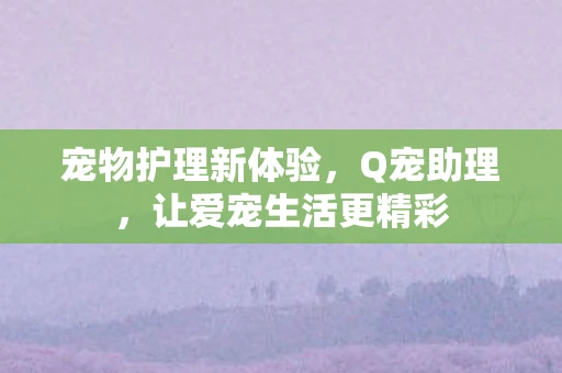 宠物护理新体验，Q宠助理，让爱宠生活更精彩