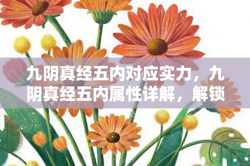 九阴真经五内对应实力，九阴真经五内属性详解，解锁武侠世界的奥秘