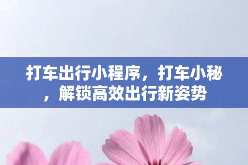 打车出行小程序，打车小秘，解锁高效出行新姿势