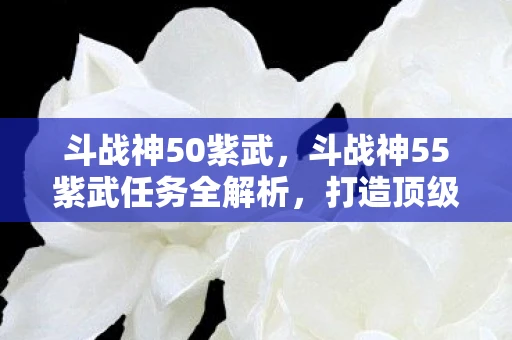 斗战神50紫武,斗战神55紫武任务全解析,打造顶级武器的传奇之旅 斗战神50紫武,斗战神55紫武任务全解析,打造顶级武器的传奇之旅