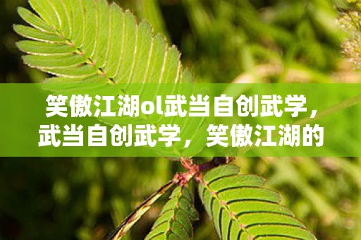 笑傲江湖ol武当自创武学，武当自创武学，笑傲江湖的奥秘