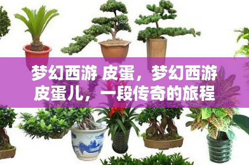 梦幻西游 皮蛋,梦幻西游皮蛋儿,一段传奇的旅程 梦幻西游 皮蛋,梦幻西游皮蛋儿,一段传奇的旅程