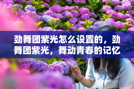 劲舞团紫光怎么设置的,劲舞团紫光,舞动青春的记忆 劲舞团紫光怎么设置的,劲舞团紫光,舞动青春的记忆