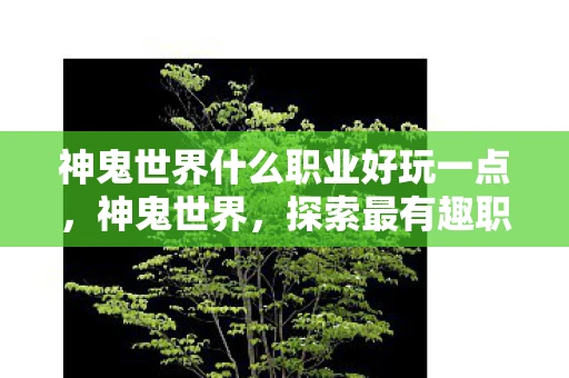神鬼世界什么职业好玩一点，神鬼世界，探索最有趣职业之旅