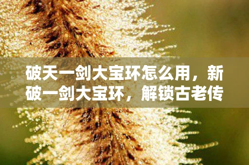 破天一剑大宝环怎么用,新破一剑大宝环,解锁古老传说的神秘力量 破天一剑大宝环怎么用,新破一剑大宝环,解锁古老传说的神秘力量