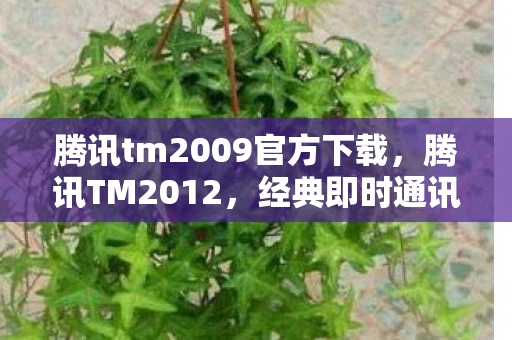 腾讯tm2009官方下载,腾讯TM2012,经典即时通讯软件的回忆与下载指南 腾讯tm2009官方下载,腾讯TM2012,经典即时通讯软件的回忆与下载指南