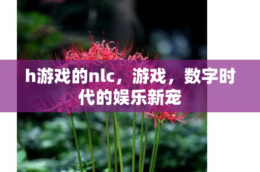 h游戏的nlc，游戏，数字时代的娱乐新宠