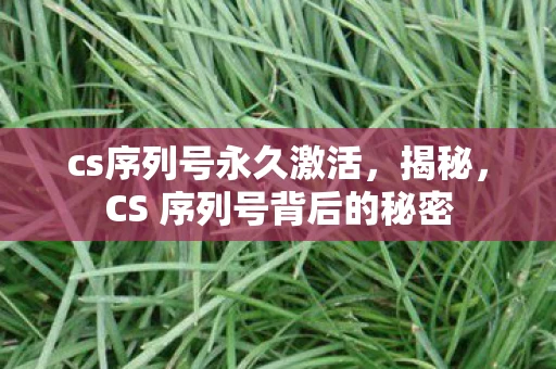 cs序列号永久激活,揭秘,CS 序列号背后的秘密 cs序列号永久激活,揭秘,CS 序列号背后的秘密