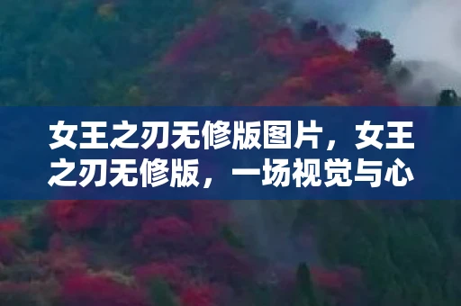 女王之刃无修版图片，女王之刃无修版，一场视觉与心灵的盛宴