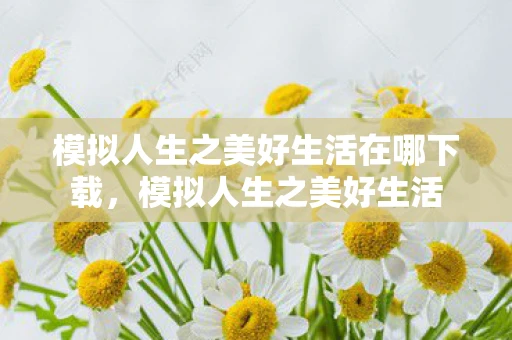 模拟人生之美好生活在哪下载，模拟人生之美好生活