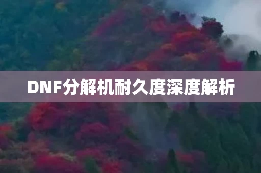 DNF分解机耐久度深度解析图片